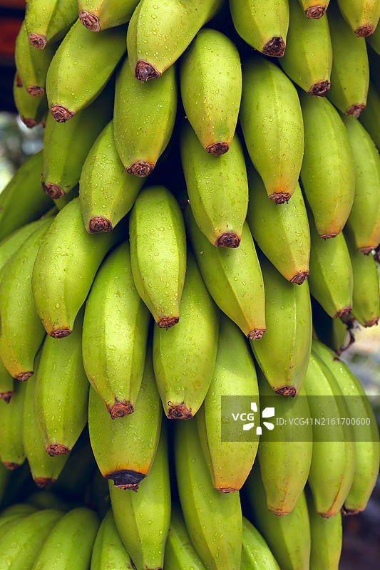 香蕉串图片素材