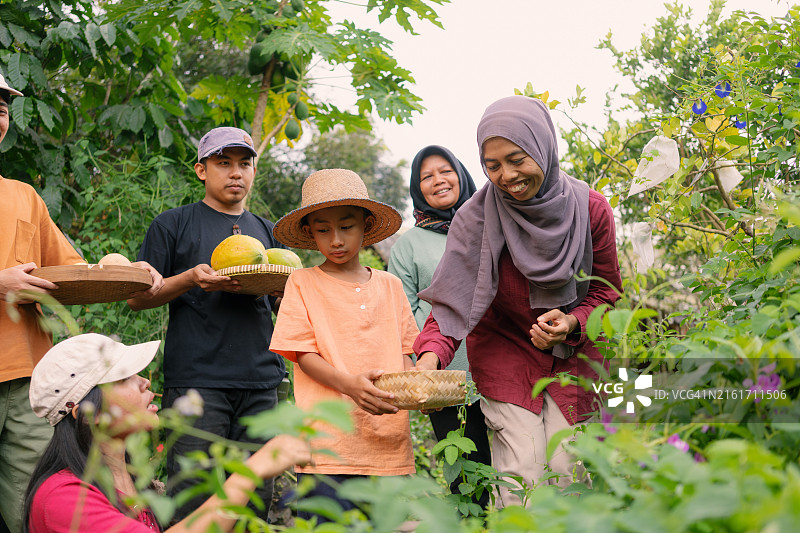 穆斯林妇女向访客展示蝶豆花图片素材
