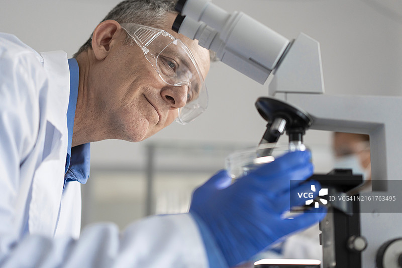 专注的科学家在实验室检查样本图片素材