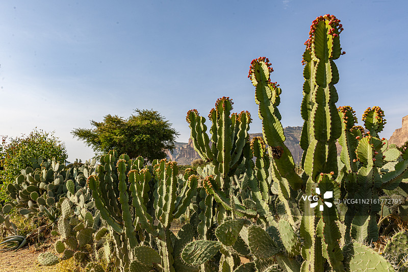 埃塞俄比亚提格雷高原Mariam Papaseity教堂附近的景观图片素材