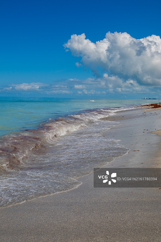 美国佛罗里达州萨拉索塔海滩风光图片素材