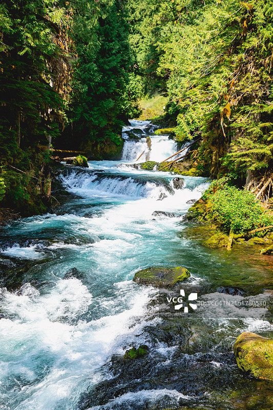 麦肯锡河森林瀑布风景，美国俄勒冈州图片素材