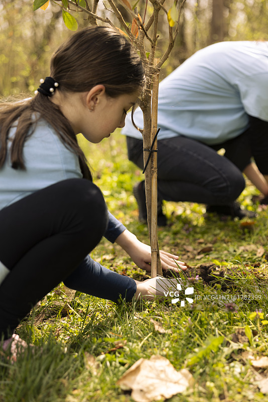 种植小树苗的儿童图片素材
