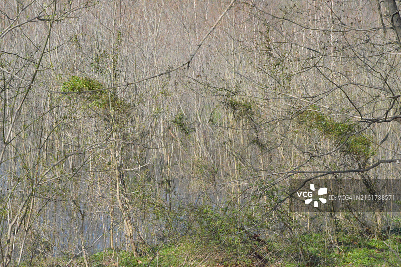 宾夕法尼亚州诺里斯敦农场公园图片素材