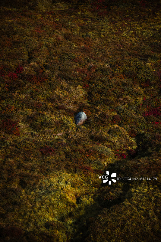 冰岛宽阔的草地小路图片素材