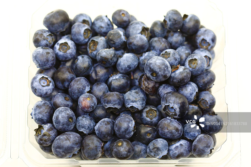 蓝莓容器图片素材