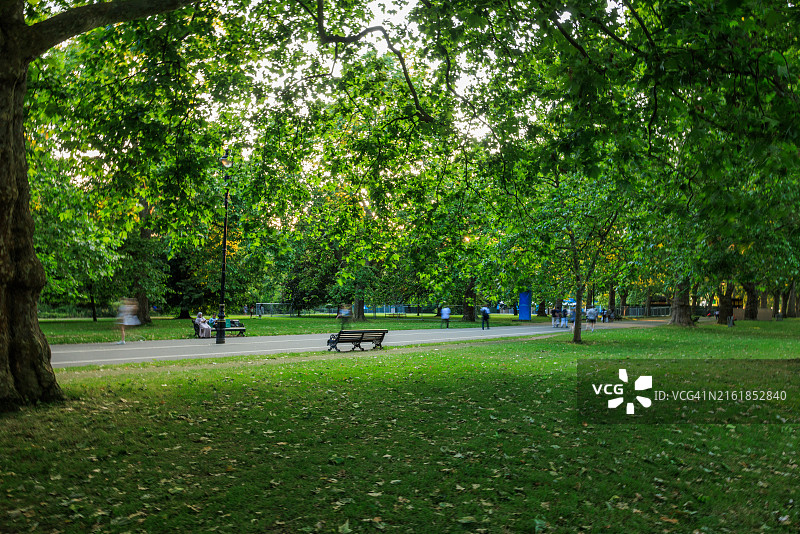 伦敦海德公园里一个空的长椅，上面有树叶和绿色植物图片素材
