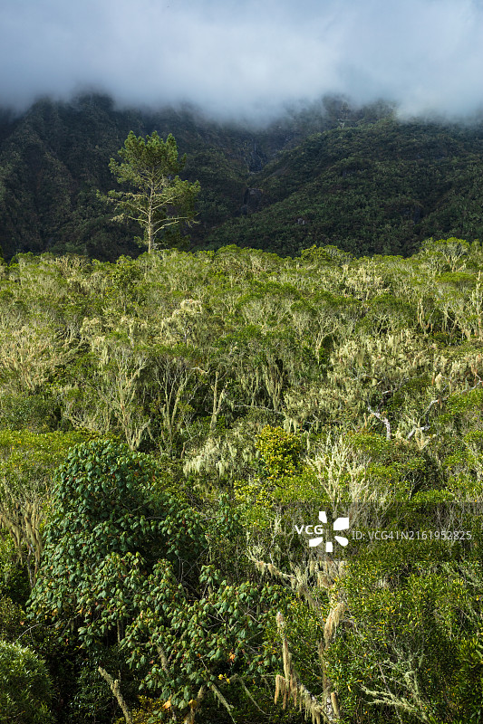 锡拉奥斯冰斗中的森林图片素材