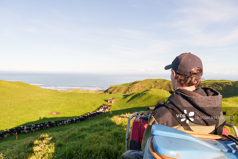 他的目光始终关注着农场图片素材