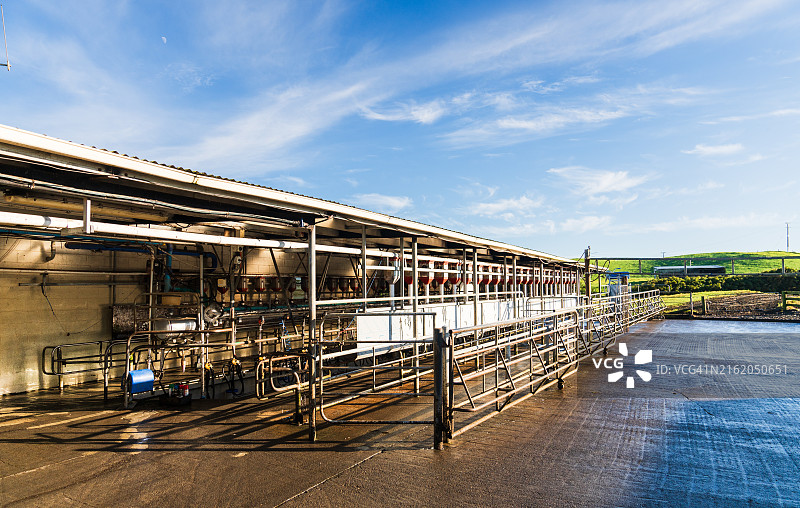 奶牛场图片素材