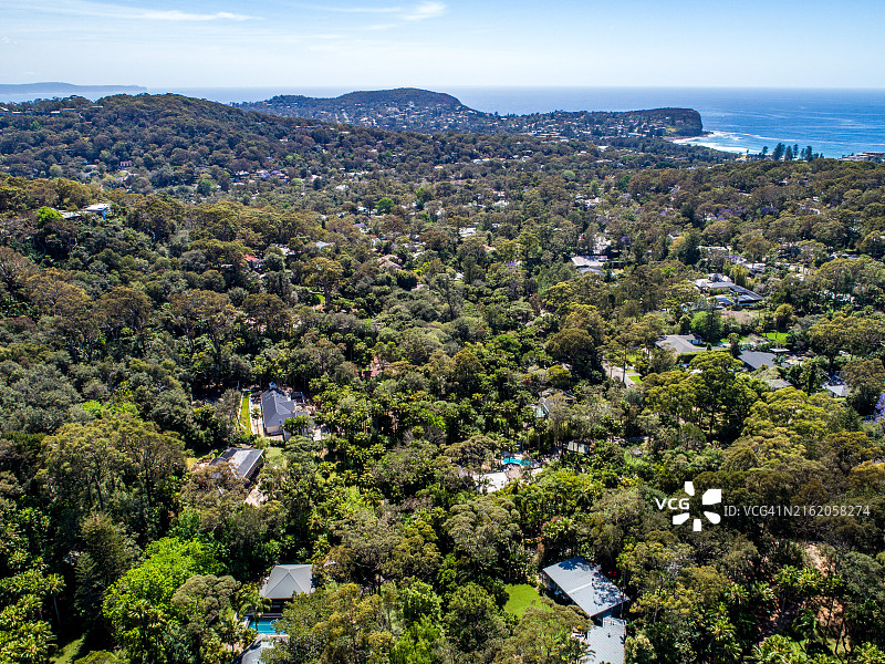 新南威尔士州阿瓦隆鸟瞰：海岸附近的葱郁森林和房屋图片素材