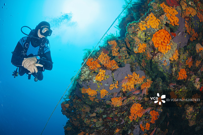 潜水员在地中海探索美丽的海洋生物和橙色海绵图片素材