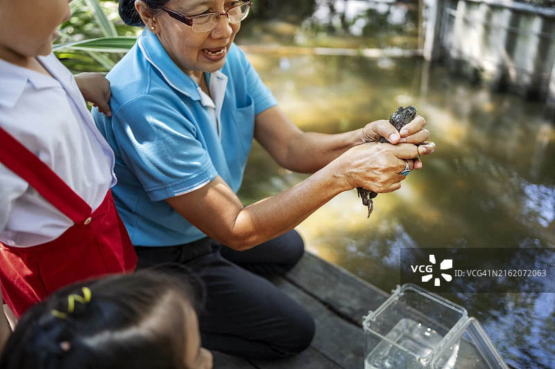 老师在公园木墩上向小学生展示青蛙图片素材