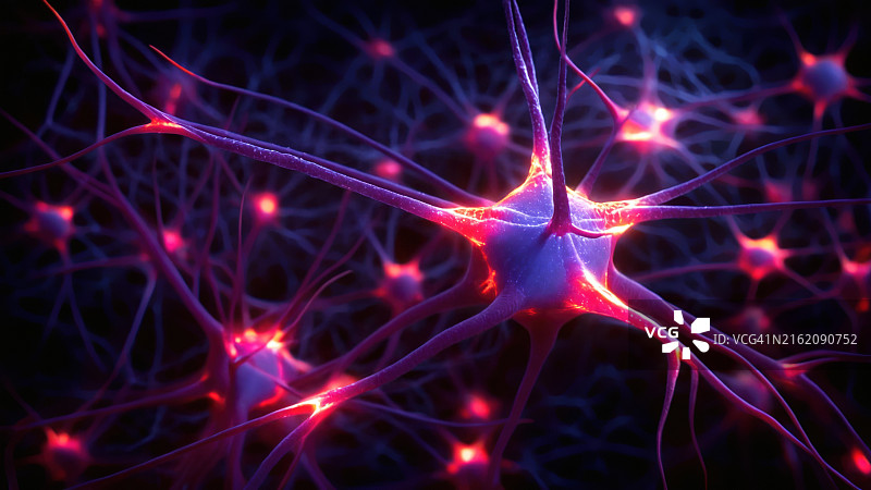 神经元图片素材
