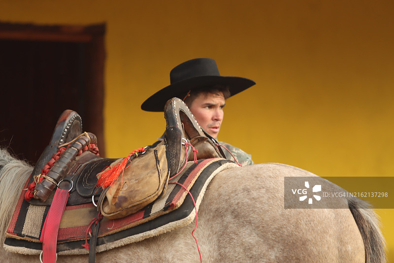 牛仔照顾牛群图片素材