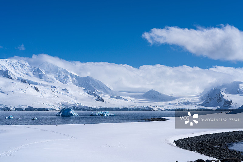 南设得兰群岛半月岛，南极洲图片素材