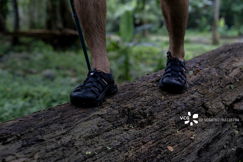 徒步旅行者的脚踩在原木上的照片图片素材