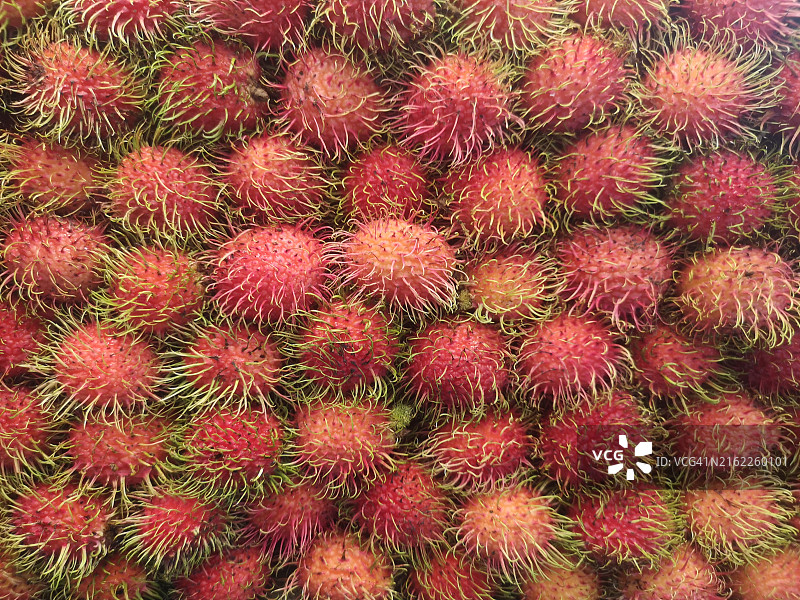 毛荔枝图片素材