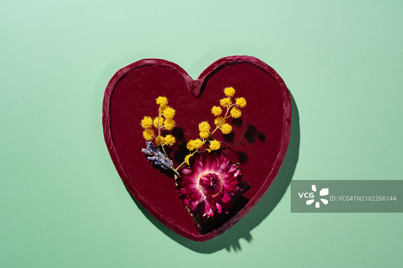 绿色背景上带有干花的红色蜡封心形，法国图片素材