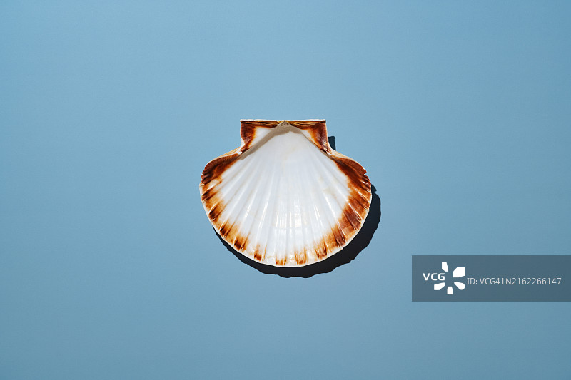 法国，蓝色背景下的水果特写图片素材