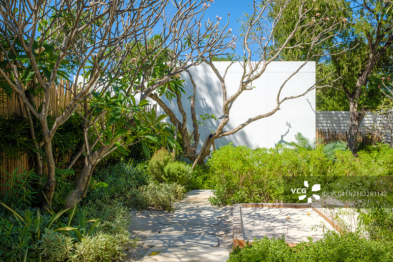 李子蛾图片素材