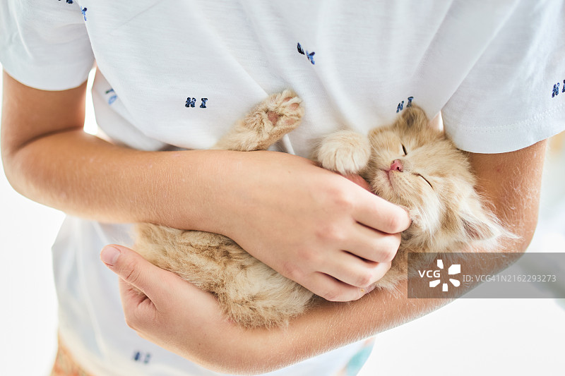 红毛猫咪在怀里熟睡图片素材