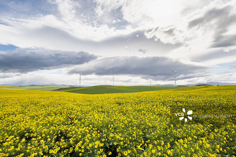南非可再生能源设施中的风力涡轮机图片素材