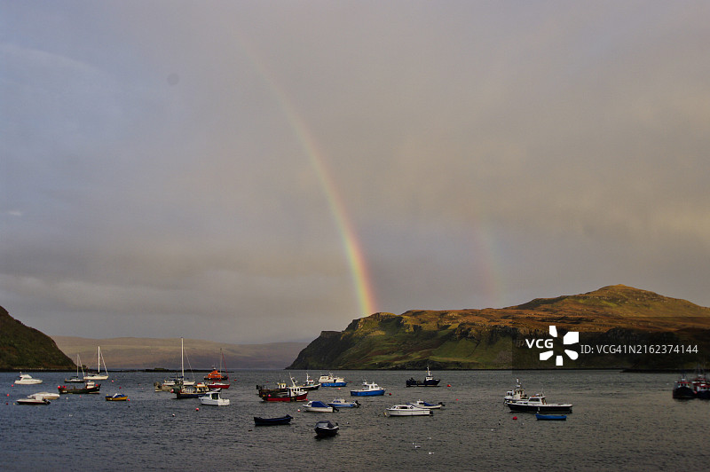 波特里图片素材
