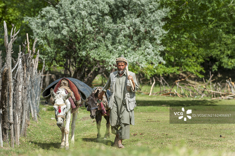 阿富汗农民和驴图片素材