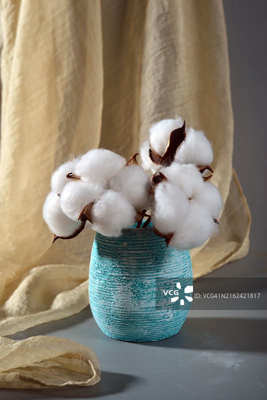 花瓶中白色棉花的特写图片素材