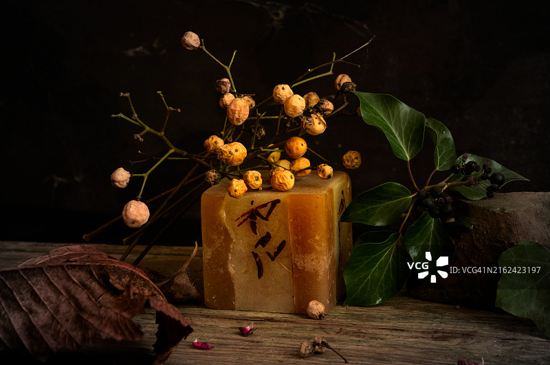 厨房或休息区的贝壳、珊瑚、木瓜、鳄梨、花瓣、种子海洋静物壁纸图片素材