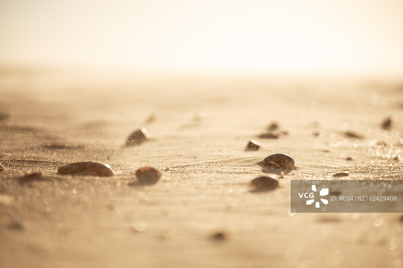 夕阳下风吹沙滩与散落的石头图片素材
