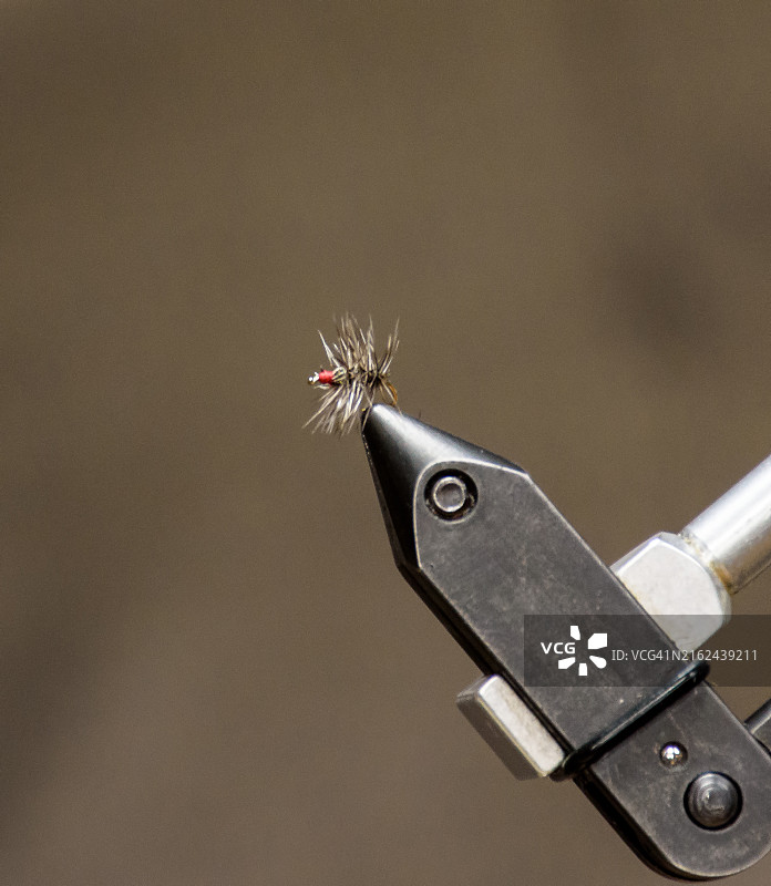 宾夕法尼亚鳟鱼的旱地飞蝇图片素材