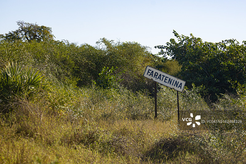 马达加斯加茂密植被中的法拉特尼纳标志图片素材