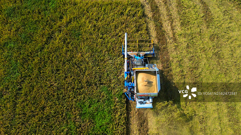 稻田中的联合收割机航拍图片素材