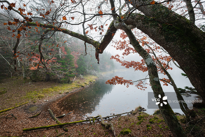 晚秋的湖图片素材