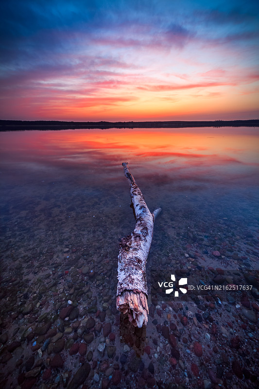 日落时分立陶宛库尔斯沙嘴海滩上的浮木特写图片素材