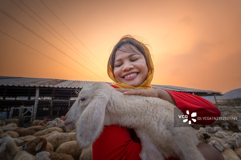 在越南宁顺省，一位当地妇女和一大群羊在日落时返回谷仓，结束了一天的山区放牧图片素材