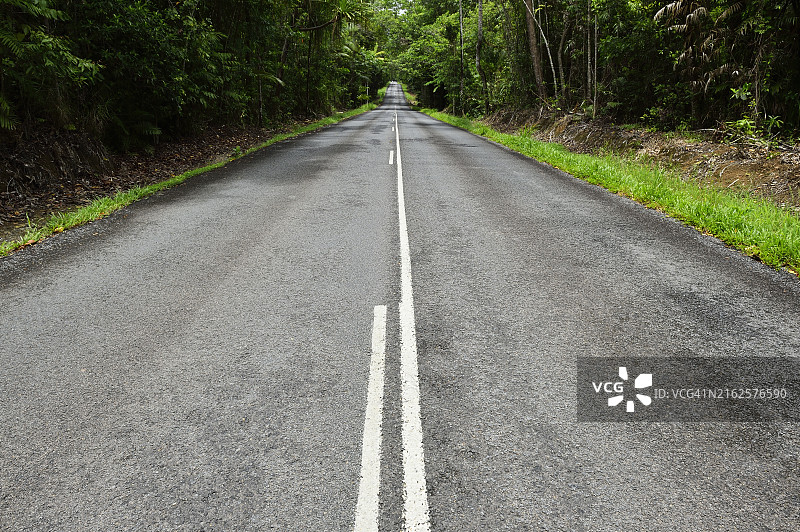 澳大利亚昆士兰州苦难角路丹翠雨林沿海公路图片素材