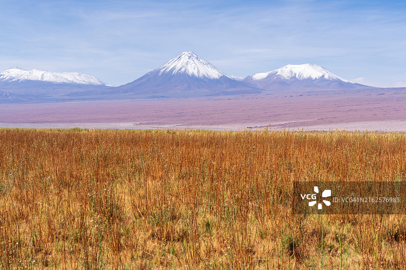 阿塔卡马的米斯坎蒂湖风景图图片素材