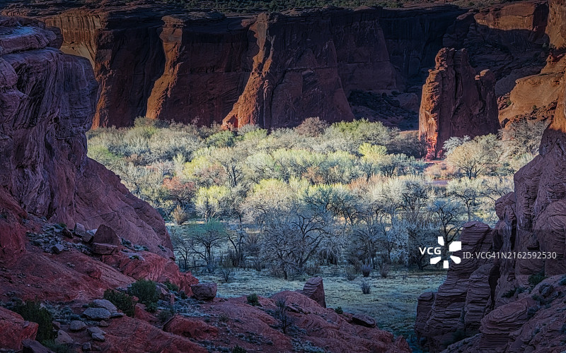 峡谷地带的绿树红崖图片素材