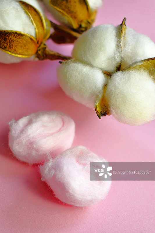 卸妆棉球与棉花植物图片素材