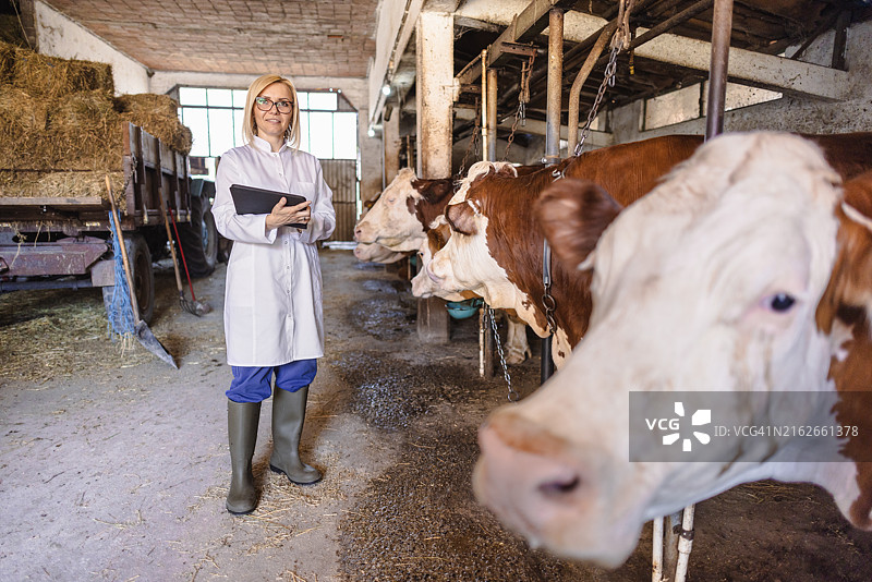 穿着实验室外套的兽医在农场工作图片素材