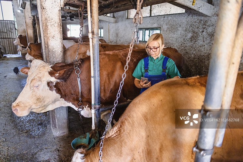 女性农场工人使用手机图片素材