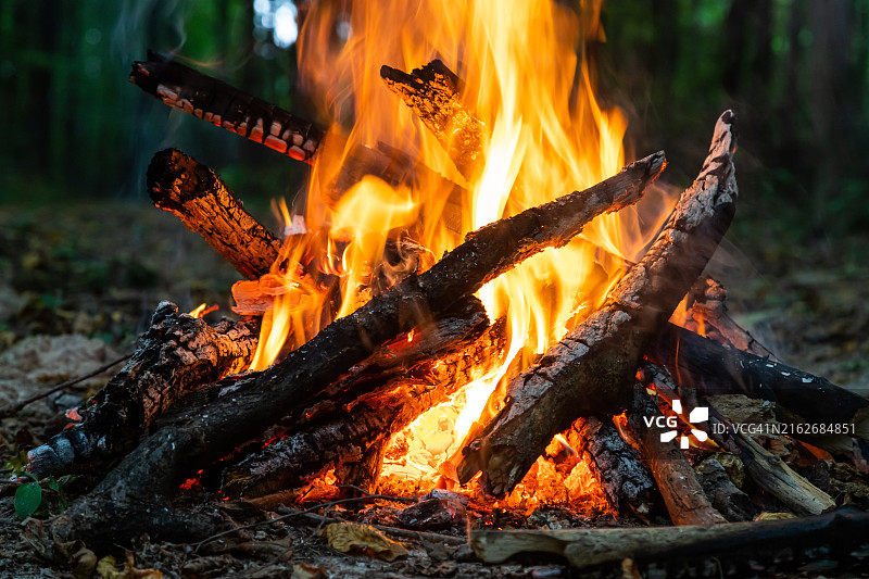 森林篝火燃烧场景图片素材