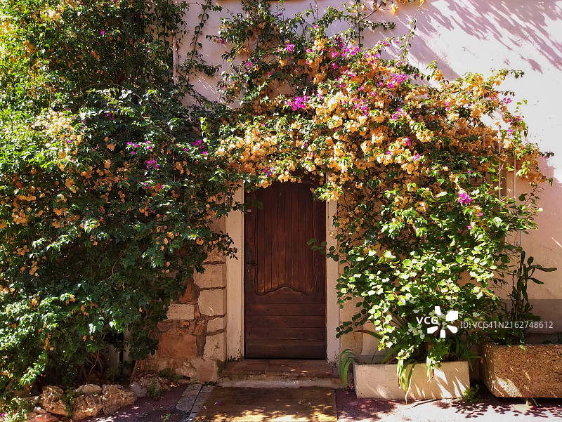 法国戛纳老城区鲜花覆盖的木门图片素材