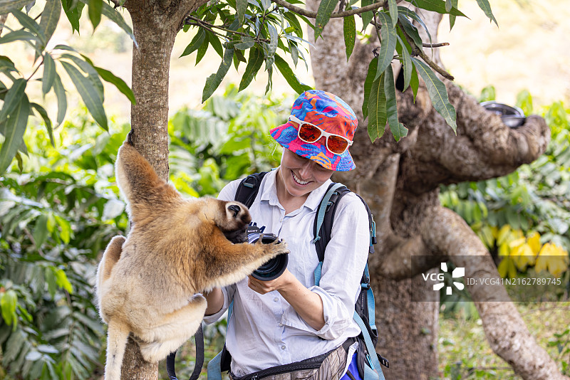 野生动物和保护摄影师与狐猴图片素材