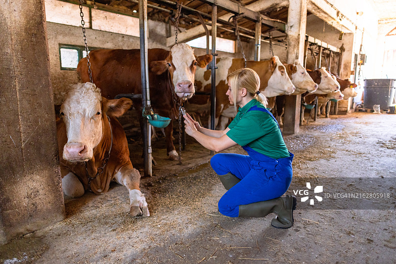 农场女性工人的侧面视图图片素材