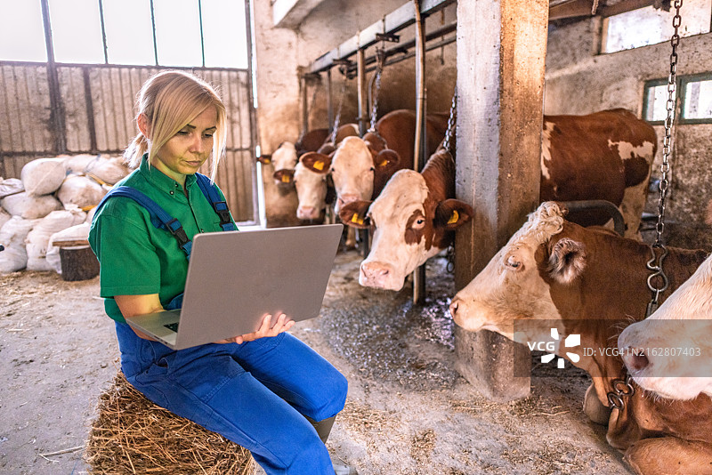 穿着蓝绿色制服的女性工人坐在干草堆上图片素材