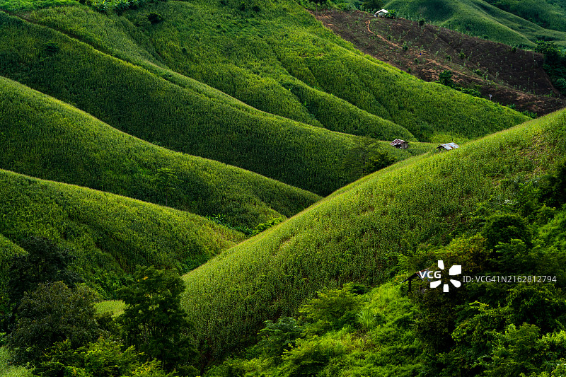 泰国难府美丽的山景图片素材